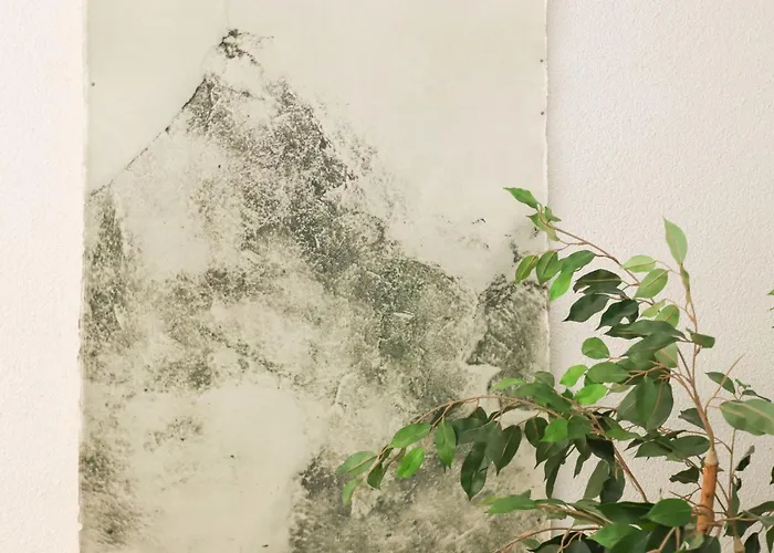 Matten Апартаменты